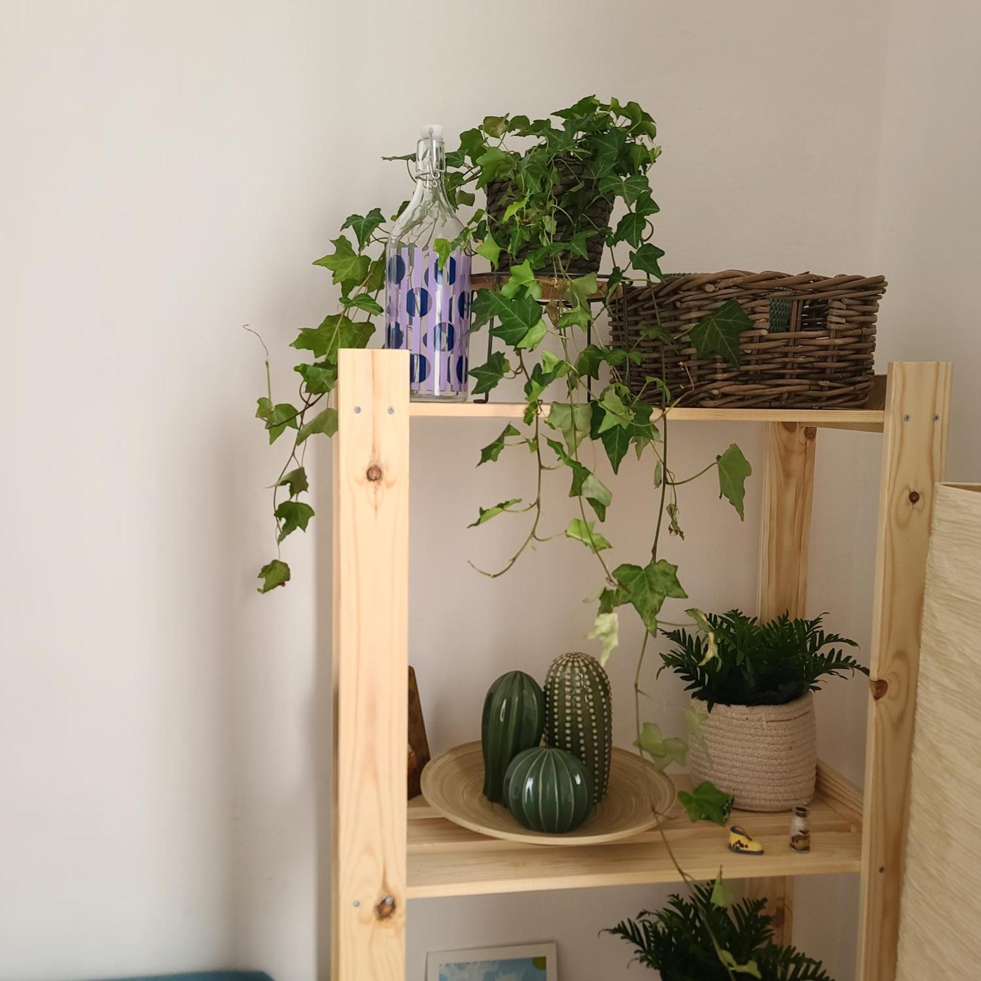 בארי Mariamora Apartment מראה חיצוני תמונה